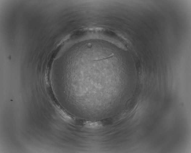 X0000080660185200612151140