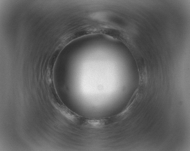 X0000080660187200612151140