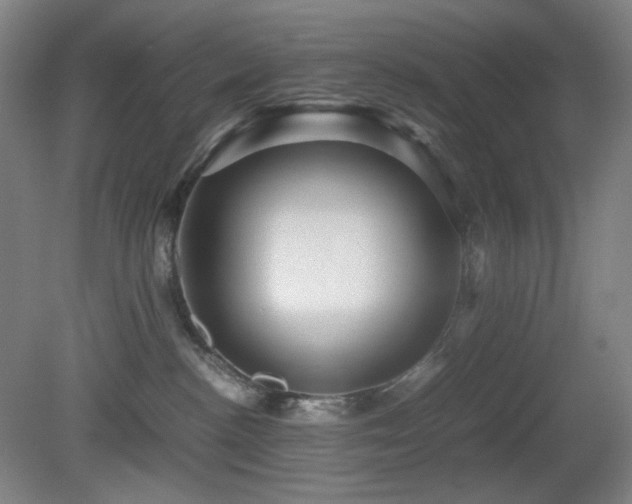 X0000080660188200612151140