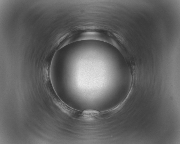 X0000080660190200612151140