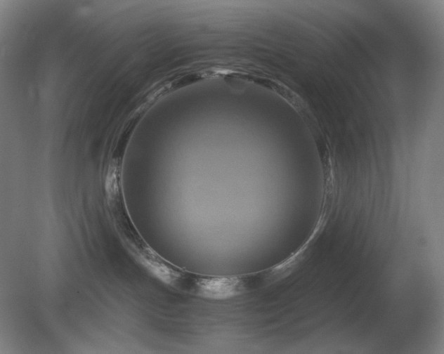 X0000080660191200612151141