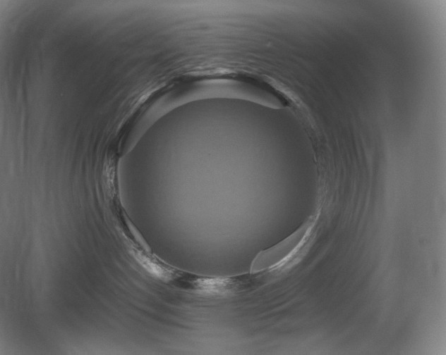 X0000080660192200612151141
