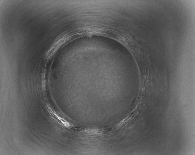 X0000080660194200612151140