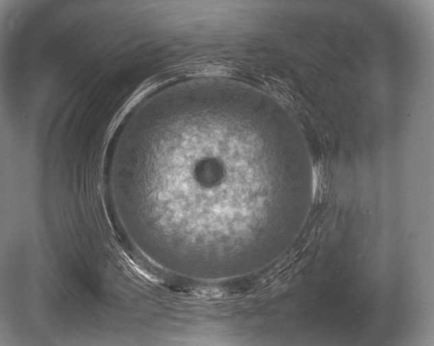 X0000080660195200612151140