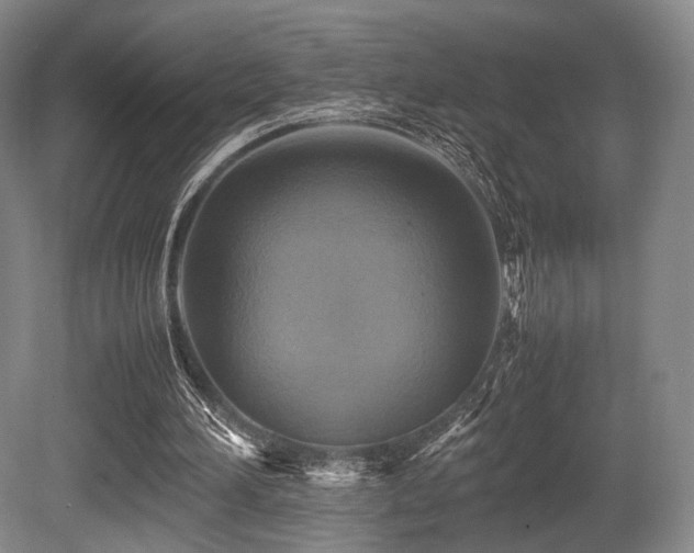X0000080660196200612151140