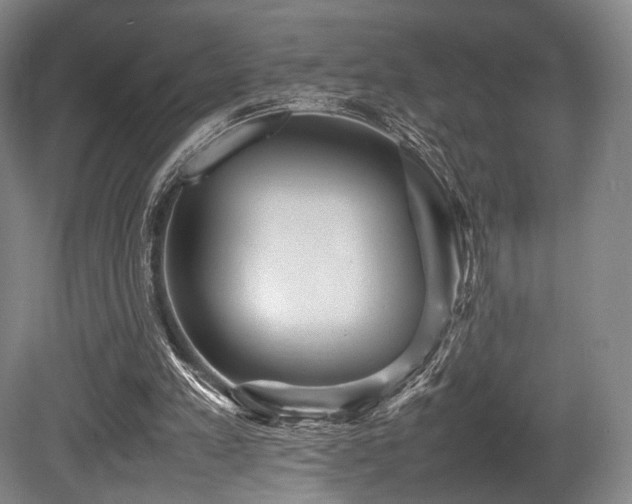 X0000080660197200612151140