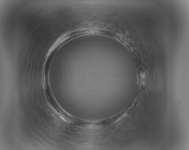 X0000080660198200612151140