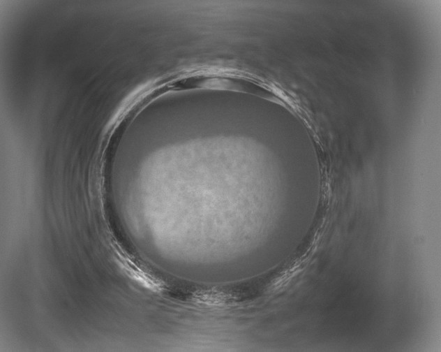 X0000080660199200612151140