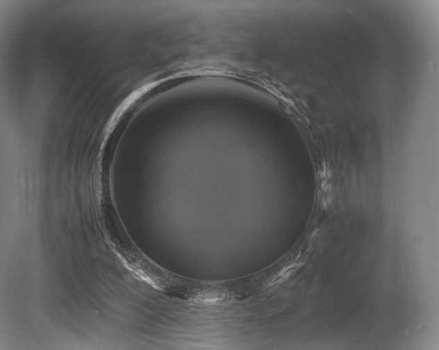 X0000080660200200612151140