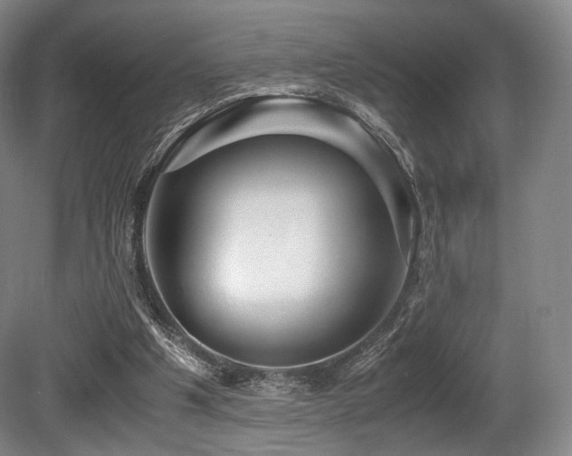 X0000080660201200612151140