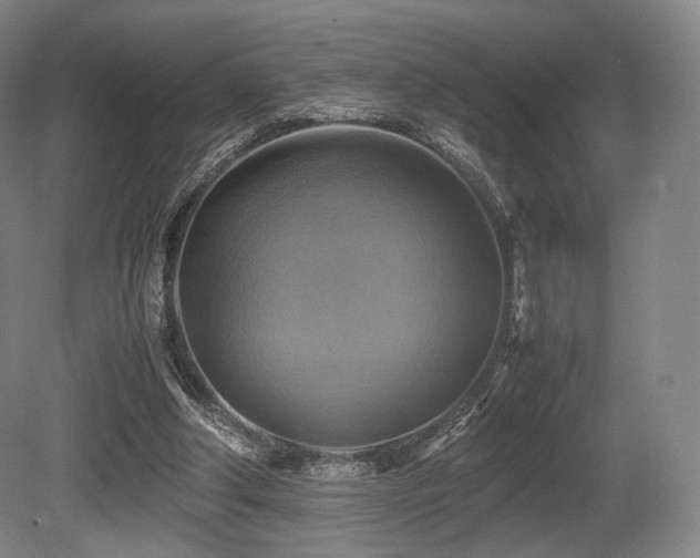 X0000080660202200612151140