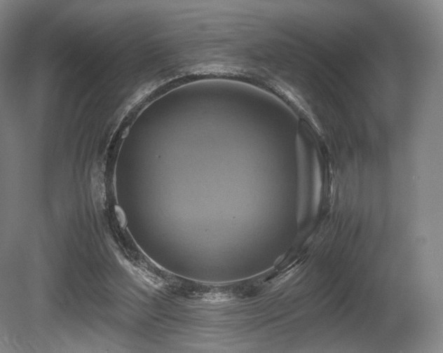 X0000080660204200612151140