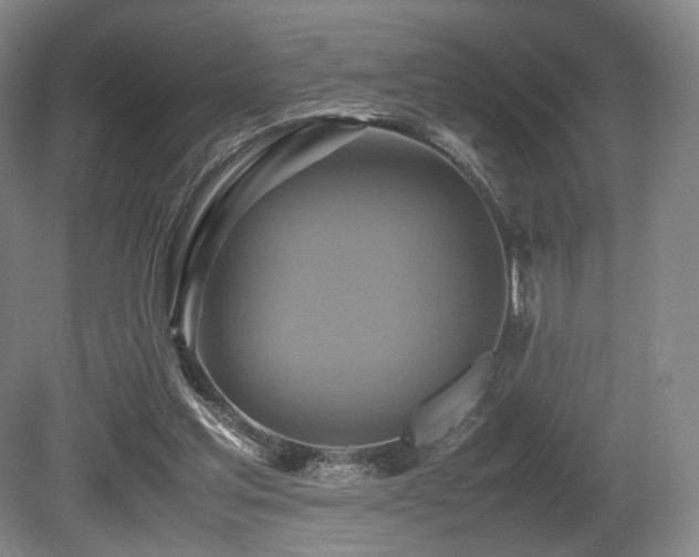 X0000080660205200612151140