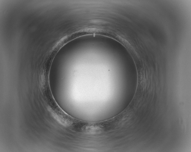 X0000080660208200612151139