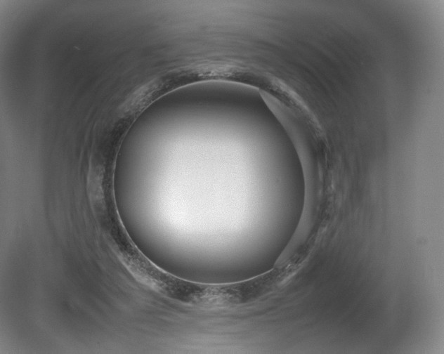 X0000080660209200612151139