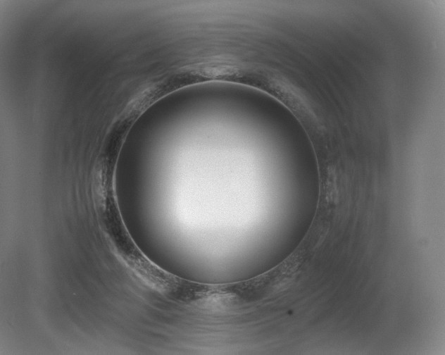 X0000080660210200612151139
