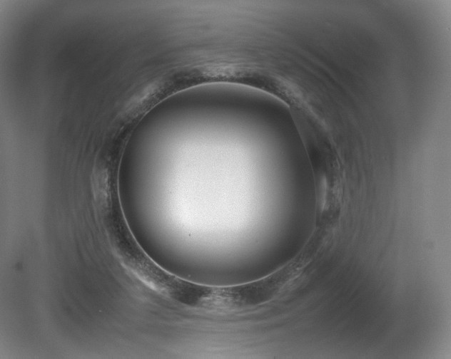 X0000080660211200612151139