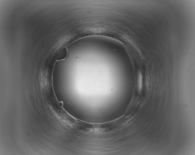 X0000080660212200612151139