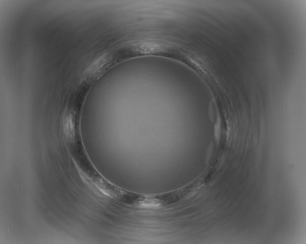 X0000080660214200612151139