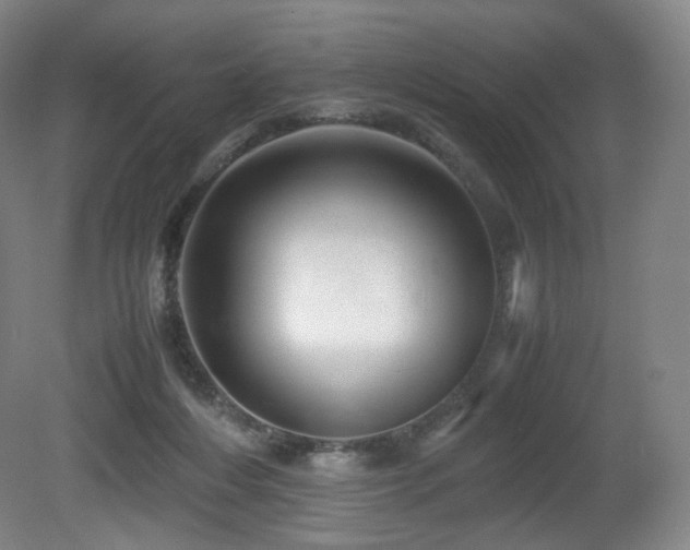 X0000080660216200612151139