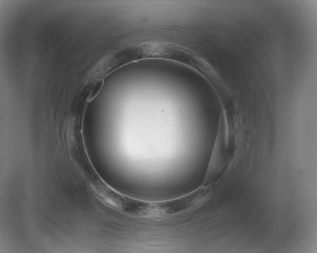 X0000080660217200612151139