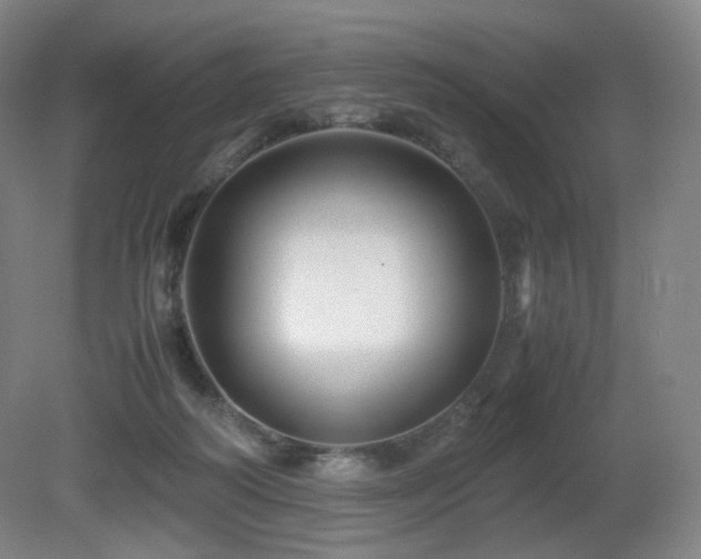 X0000080660218200612151139