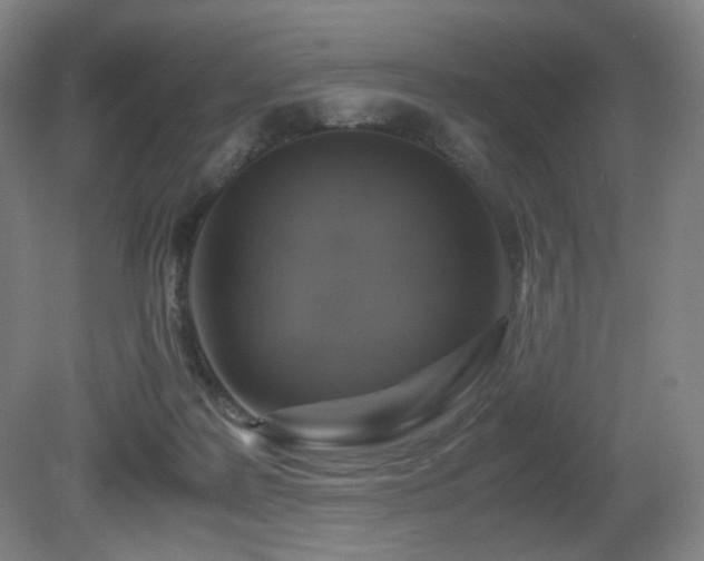 X0000080660219200612151139