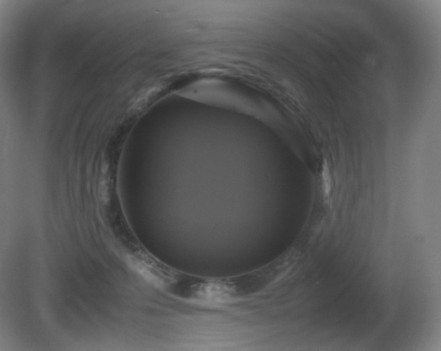 X0000080660223200612151139