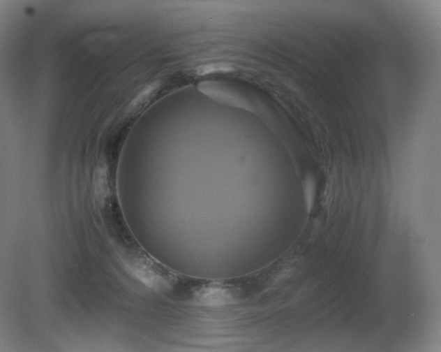 X0000080660224200612151139