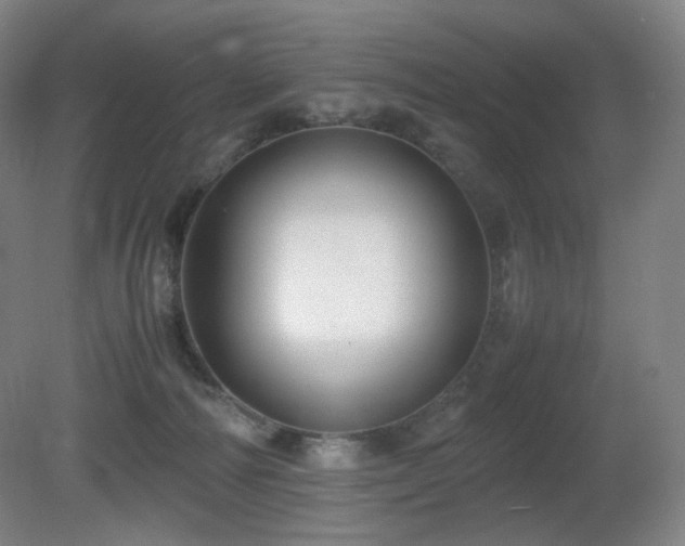 X0000080660226200612151139
