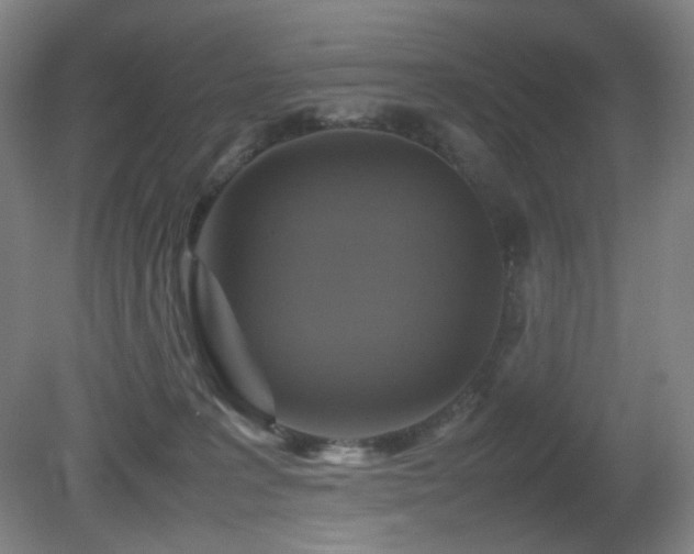 X0000080660227200612151139