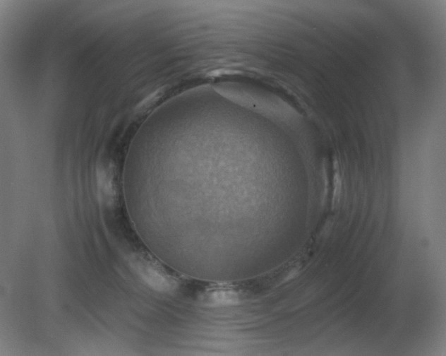 X0000080660228200612151139