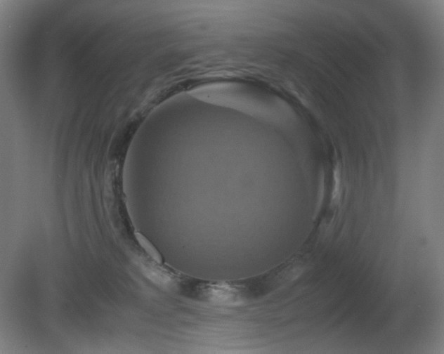 X0000080660229200612151139