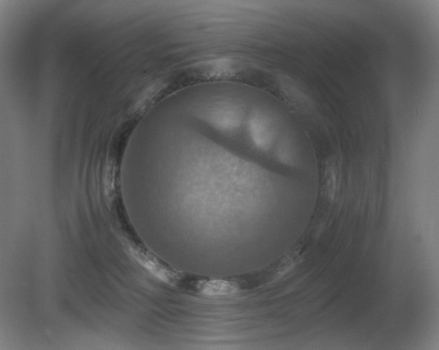 X0000080660230200612151139