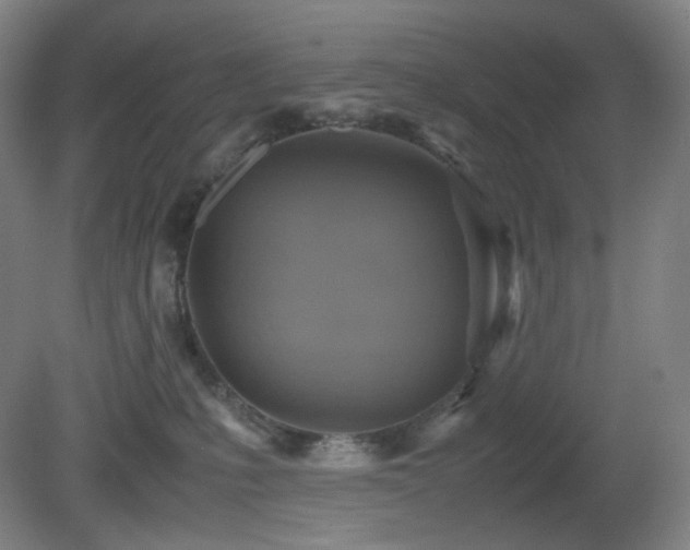 X0000080660231200612151139