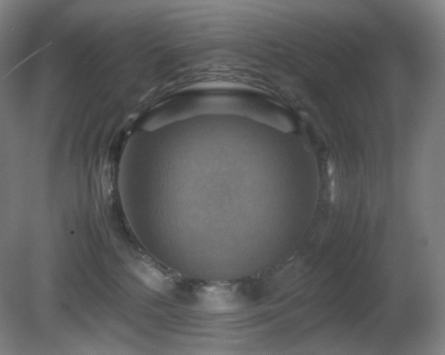 X0000080660232200612151139