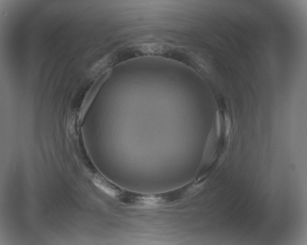 X0000080660233200612151139