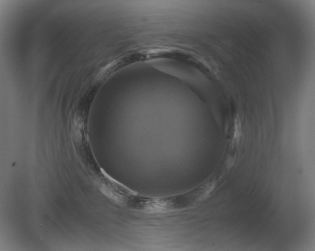 X0000080660235200612151139