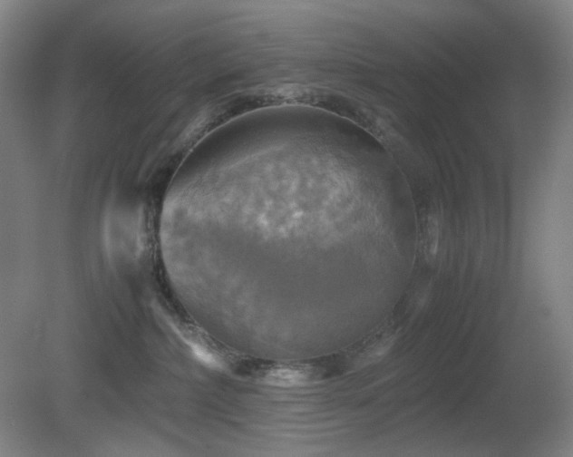 X0000080660236200612151139