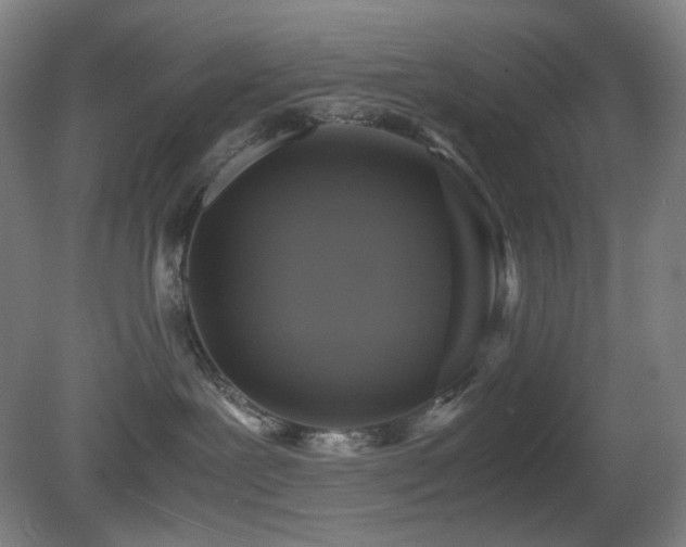 X0000080660239200612151139