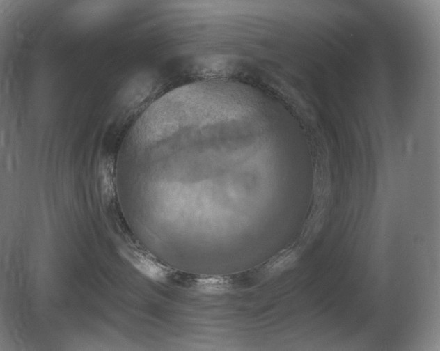 X0000080660240200612151139