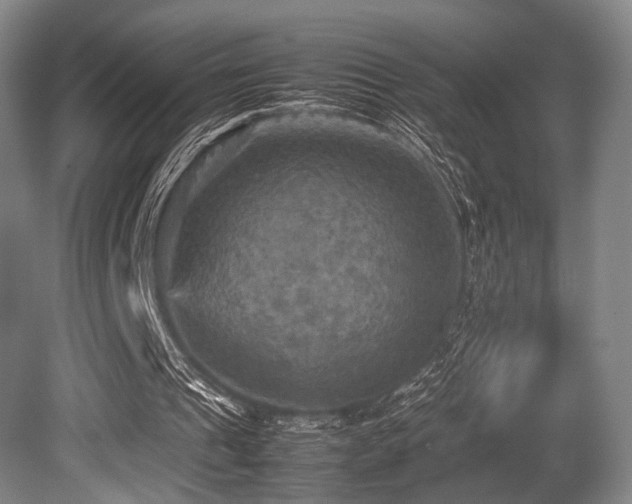 X0000080660241200612151138