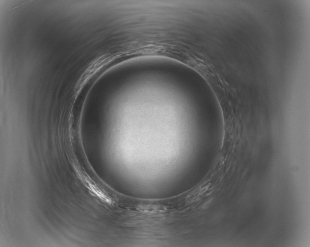 X0000080660242200612151138