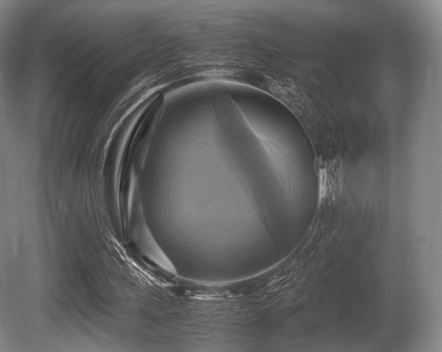 X0000080660243200612151138