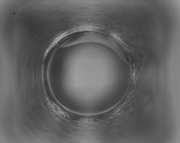 X0000080660244200612151138