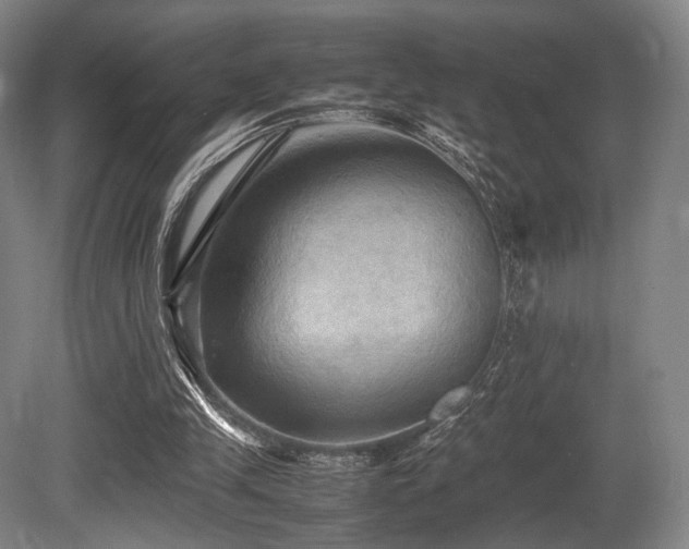 X0000080660245200612151138