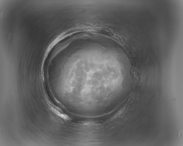 X0000080660246200612151138