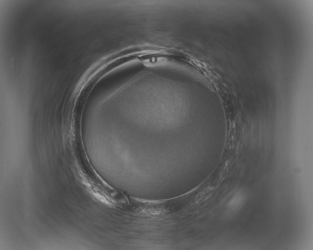 X0000080660247200612151138