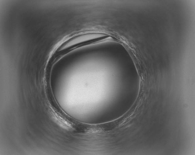 X0000080660248200612151138