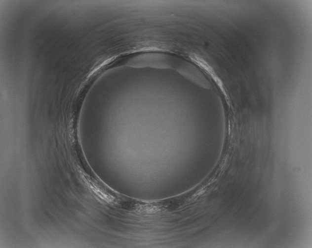 X0000080660249200612151138